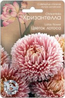 Астра Хризантелла Цветок Лотоса китайская  30 шт (Биотехника)