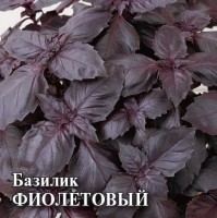 Вес Базилик Фиолетовый 50,0 г Гавриш