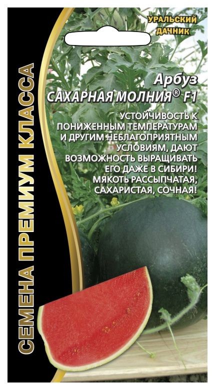 Уральские арбузы. Арбуз сахарная молния f1 выращивание отзывы фото.
