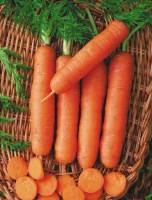 Морковь Без сердцевины Пралине (200 шт) (НК) Вкуснятина!