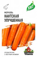 Морковь Нантская улучшенная 2 г ХИТ х3 Гавриш